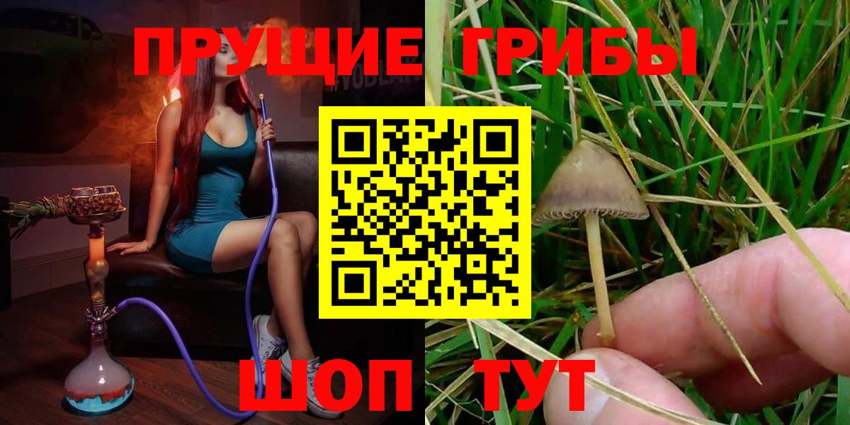 Сердобск  Псилоцибиновые грибы мухоморы  Вход с VPN 